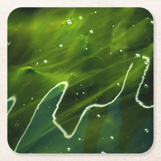 Groene algen en watercoastera kartonnen onderzetters (Voorkant)