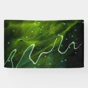 Groene algen en waterhuishouding spandoek