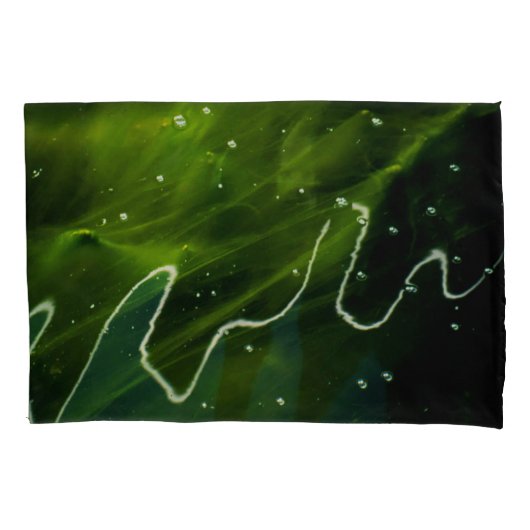 Groene algen en waterpcna kussensloop (Voorkant)