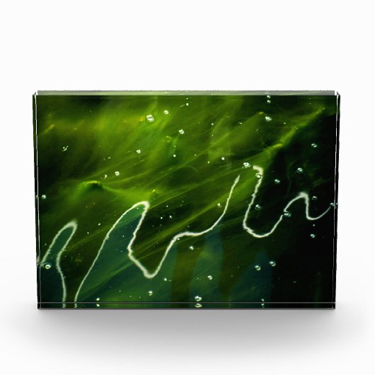 Groene algen en waterpoot fotoblokken (Voorkant)