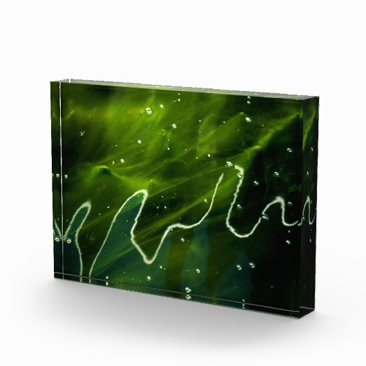 Groene algen en waterpoot fotoblokken (Rechts)