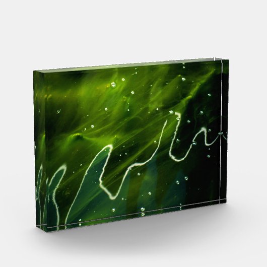 Groene algen en waterpoot fotoblokken (Links)