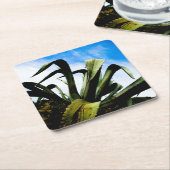 Groene Aloë Plant met Bright Blue Sky Kartonnen Onderzetters (Schuin)
