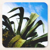 Groene Aloë Plant met Bright Blue Sky Kartonnen Onderzetters (Voorkant)