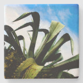 Groene Aloë Plant met Bright Blue Sky Stenen Onderzetter (Voorkant)