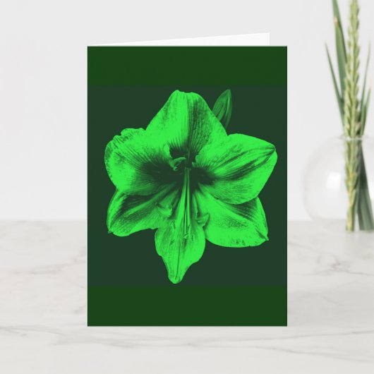 Groene Amaryllis Kaart (Voorkant)