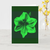 Groene Amaryllis Kaart (Gele Bloem)