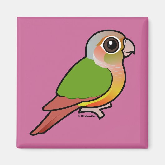 Groene anananasappelwijn met baarmoederhals magneet (Voorkant)