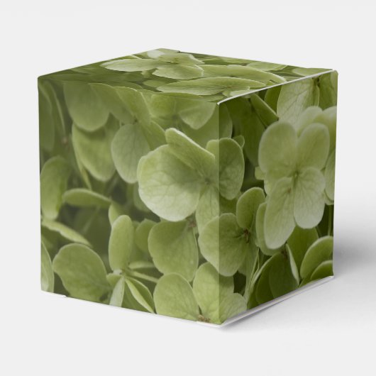 Groene Annabelle Hortensia Bloemachtige Trouw Bedankdoosjes (Achterkant)