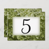 Groene Annabelle Hydrangea-bloknummers Briefkaart (Voorkant / Achterkant)