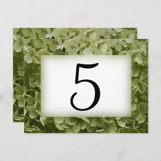 Groene Annabelle Hydrangea-bloknummers Briefkaart (Voorkant / Achterkant)