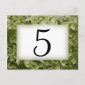 Groene Annabelle Hydrangea-bloknummers Briefkaart (Voorkant)