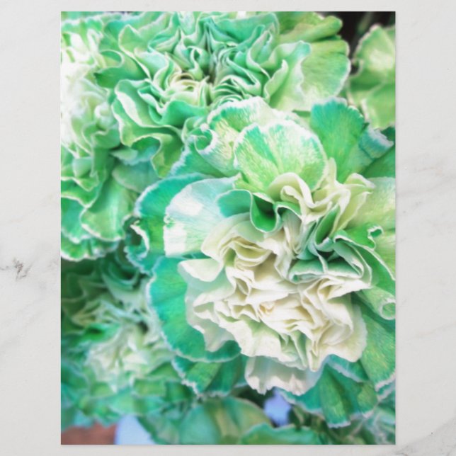 Groene annatie (Voorkant)