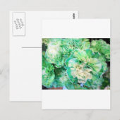 Groene annatie briefkaart (Voorkant / Achterkant)