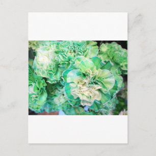 Groene annatie briefkaart