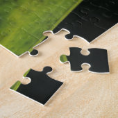 Groene anolis, Anolis carolinensis, volwassene op Legpuzzel (Zijkant)