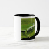 Groene anolis, Anolis carolinensis, volwassene op Mok (Voorkant rechts)