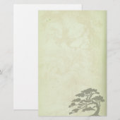 Groene Antiek reproductieapparatuur Briefpapier (Voorkant / Achterkant)