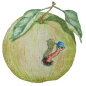 Groene appel met grappige magneet in pet illustrat t-shirt