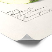 Groene appelen (Malus Domestica) Vruchtschildering Poster (Hoek)