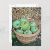 Groene appels briefkaart (Voorkant / Achterkant)
