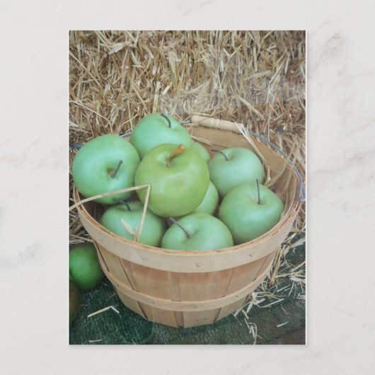 Groene appels briefkaart (Voorkant)