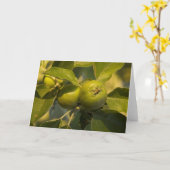 groene appels kaart (Gele Bloem)