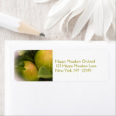 Groene appels, vers, met een dunne rand etiket (Insitu)