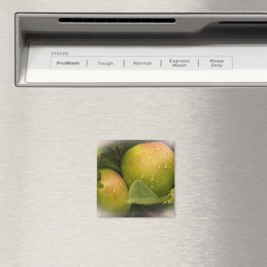 Groene appels, vers, met een dunne rand magneet (Insitu (Vaatwasser))