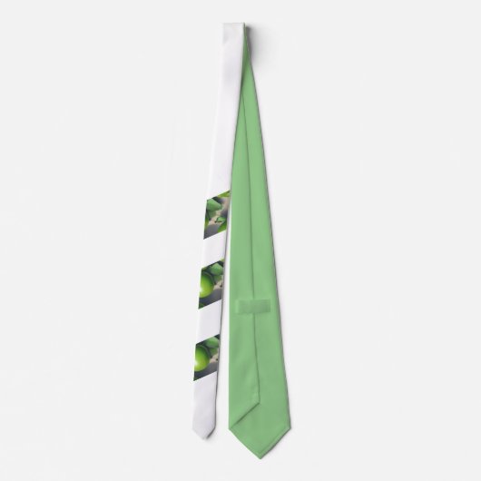 Groene Apple stropdas (Achterkant)