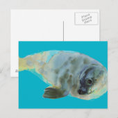 Groene Aqua Briefkaart (Voorkant / Achterkant)