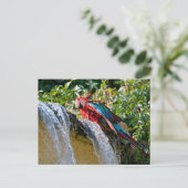 Groene ara naast een waterval feestdagenkaart (Staand voorkant)