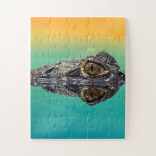 Groene Baby krokodil in water met blauw en Sinaasa Legpuzzel