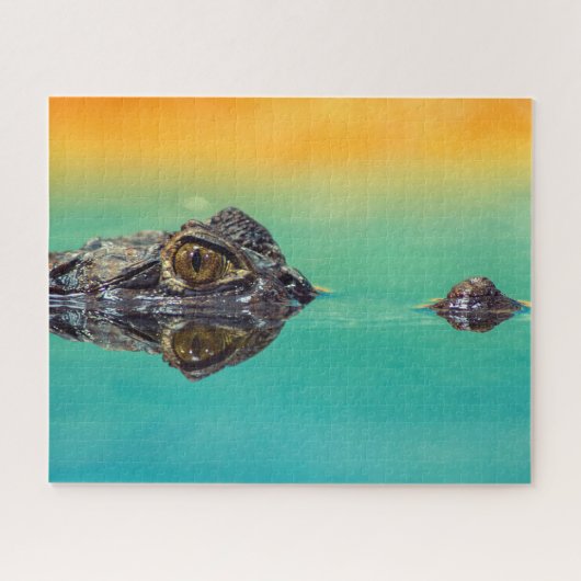 Groene Baby krokodil in water met blauw en Sinaasa Legpuzzel (Horizontaal)