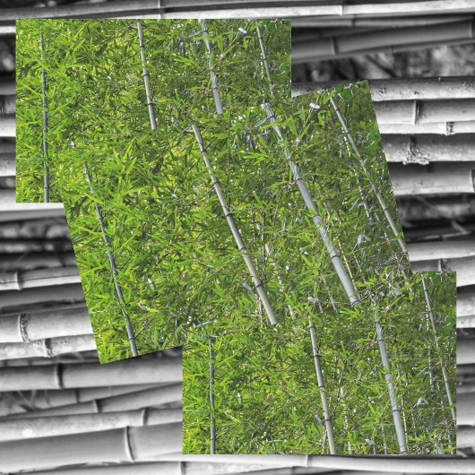 Groene Bamboe Bomen Grove Natuurlijke Fotografie Tissuepapier