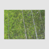 Groene Bamboe Bomen Grove Natuurlijke Fotografie Tissuepapier (Voorkant)