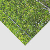 Groene Bamboe Bomen Grove Natuurlijke Fotografie Tissuepapier (Detail)