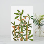 Groene bamboe geïsoleerd op witte achtergrond briefpapier (Staand voorkant)