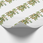 Groene bamboe geïsoleerd op witte achtergrond cadeaupapier (Hoek)