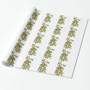 Groene bamboe geïsoleerd op witte achtergrond cadeaupapier