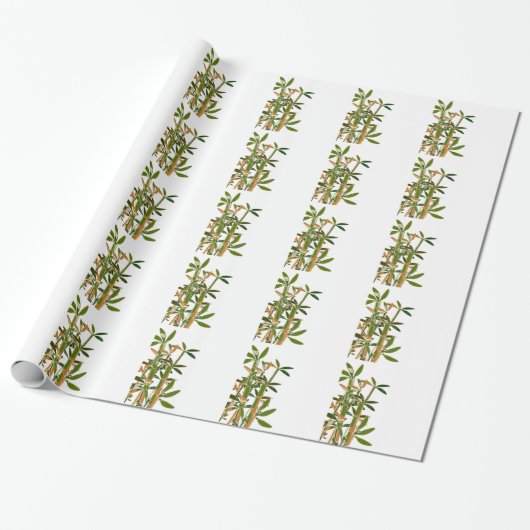 Groene bamboe geïsoleerd op witte achtergrond cadeaupapier (Uitgerold)