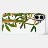 Groene bamboe geïsoleerd op witte achtergrond Case-Mate iPhone case (Achterkant (horizontaal))