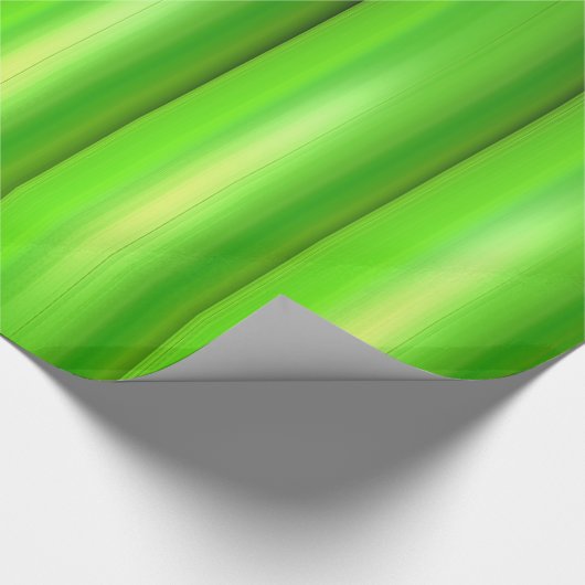 Groene bamboe set cadeaupapier (Hoek)