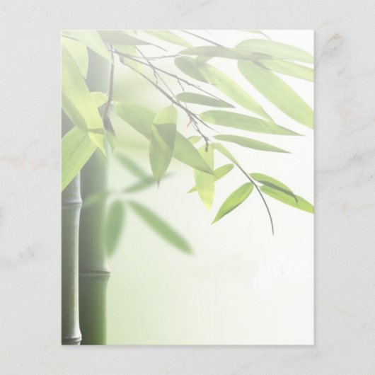 Groene bamboe/Spa Skin Care Massage Salon Flyer (Voorkant)