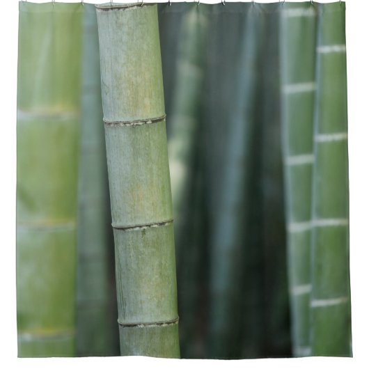 Groene bamboescheuten douchegordijn (Voorkant)