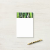 Groene bamboestengels natuurfotografie post-it® notes (Op bureau)
