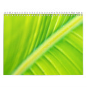 groene bananenblad kalender (Hoes)