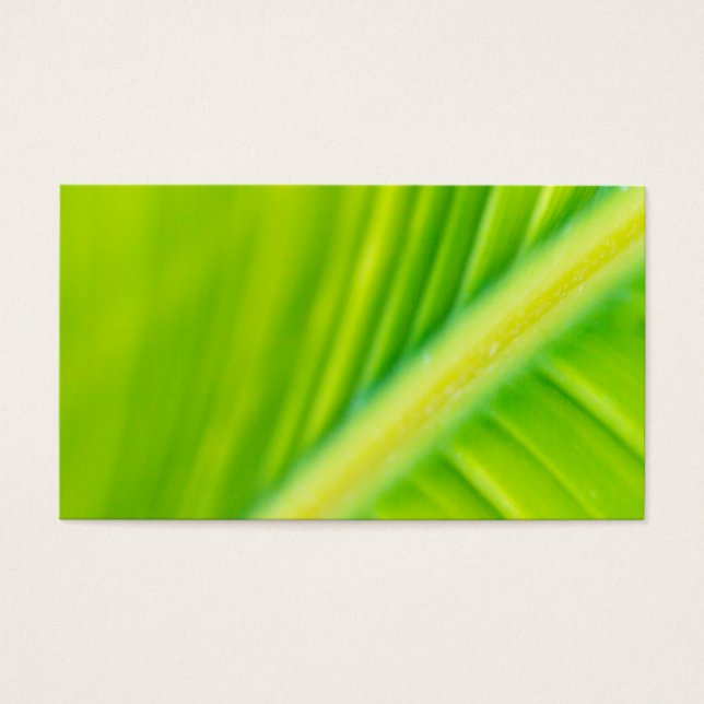 groene bananenblad visitekaartje (Voorkant)