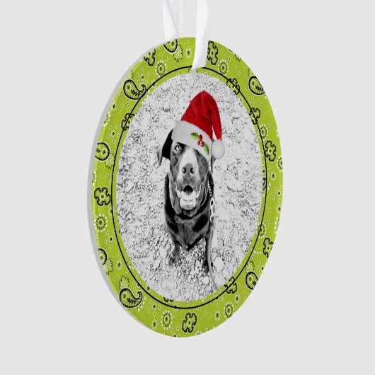 Groene Bandana Huisdier Fotonaam Kerstmis Plezier Ornament (voorkant)