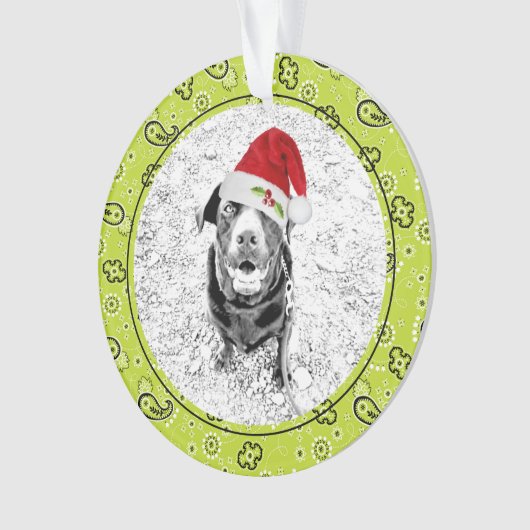 Groene Bandana Huisdier Fotonaam Kerstmis Plezier Ornament (voorkant)